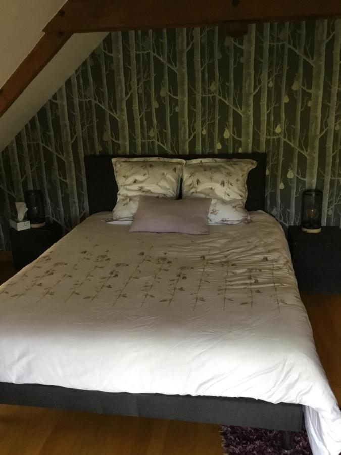 Chambre D Hote Janze ภายนอก รูปภาพ